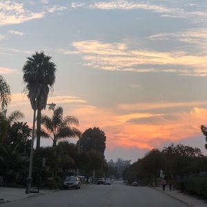 Meet your Posher, Irene